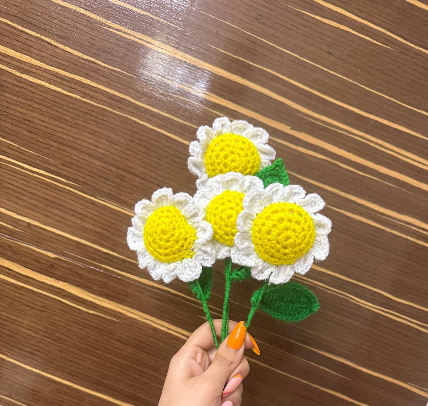 DAISY