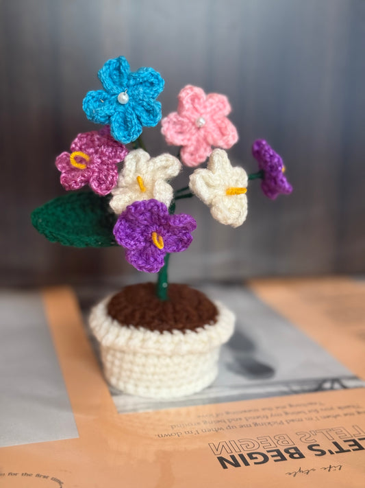 Mini multi color flowers pot