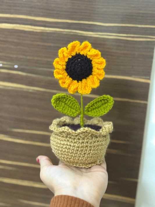 Mini sunflower pot 3.0
