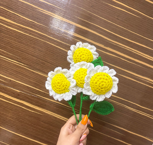 DAISY