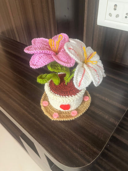 Lily pot