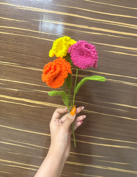CARNATION