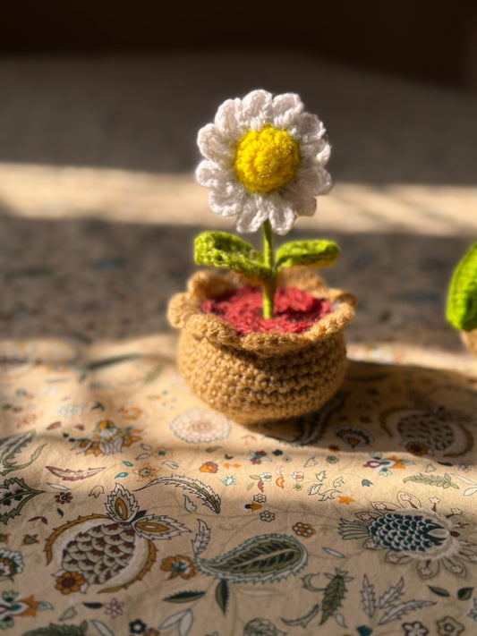 Mini daisy 2.0 pot