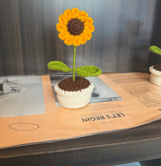 Mini sunflower pot