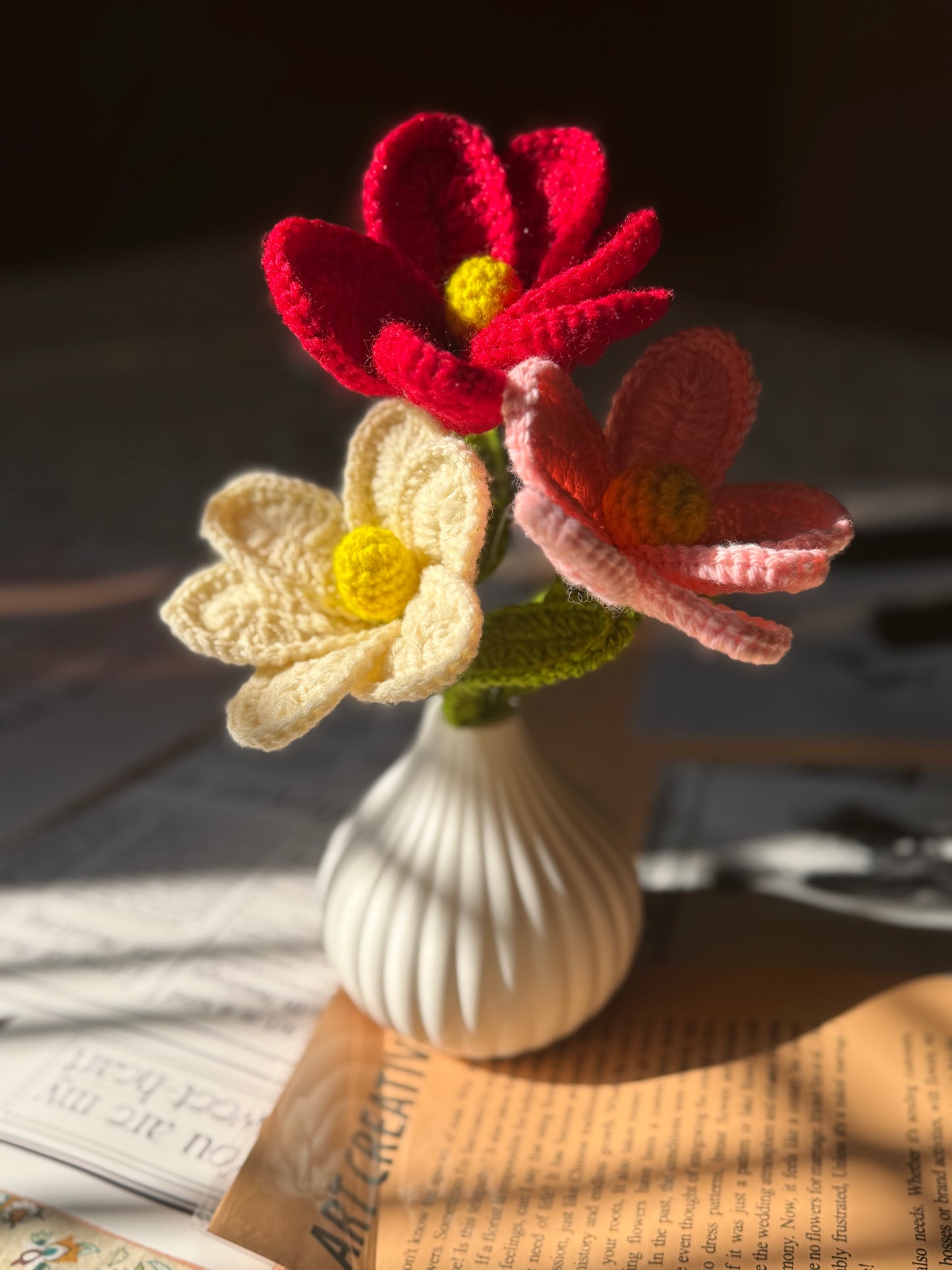 Cosmos pot
