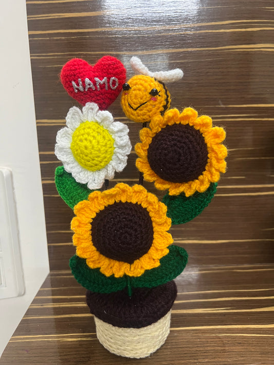 Sunflower heart pot