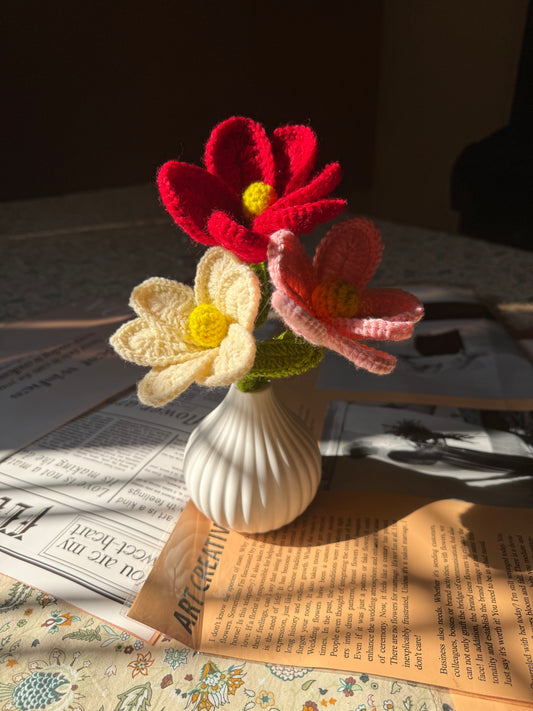Cosmos pot