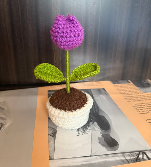 Mini tulip pot