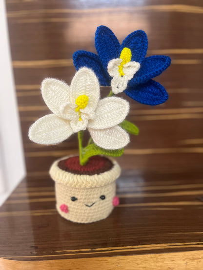 Orchid pot