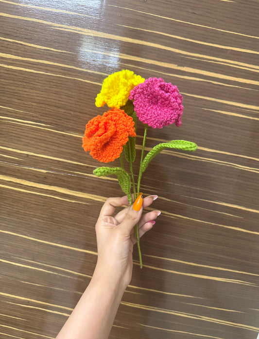 CARNATION