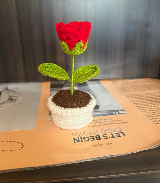 Mini rose pot