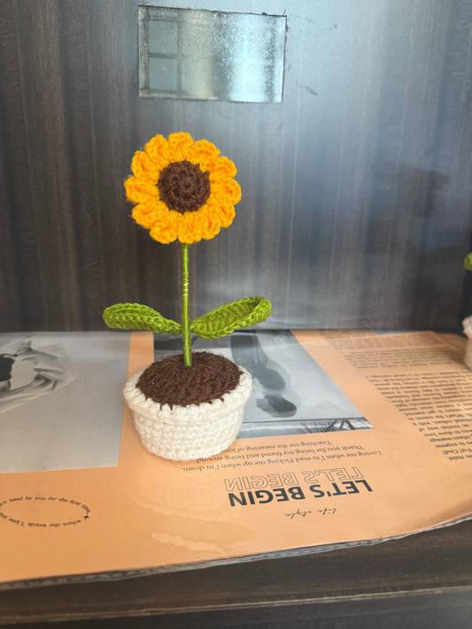 Mini sunflower pot