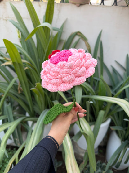 Sunflower Fairy Doll